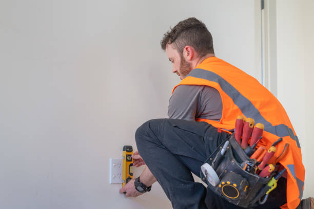 Best Residential Electrician Services  in Bonny Doon, CA